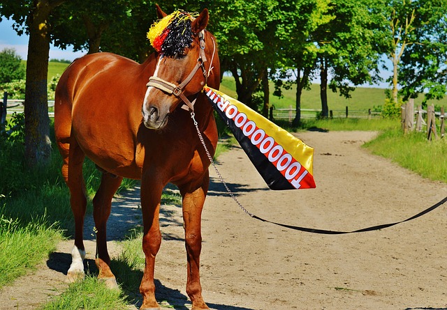 击败了他的 击败了他的