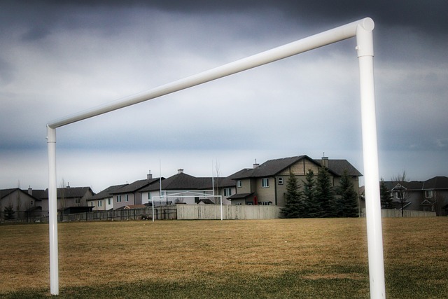 视为奋斗目 视为奋斗目