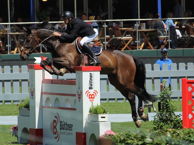 仅让人对日 仅让人对日