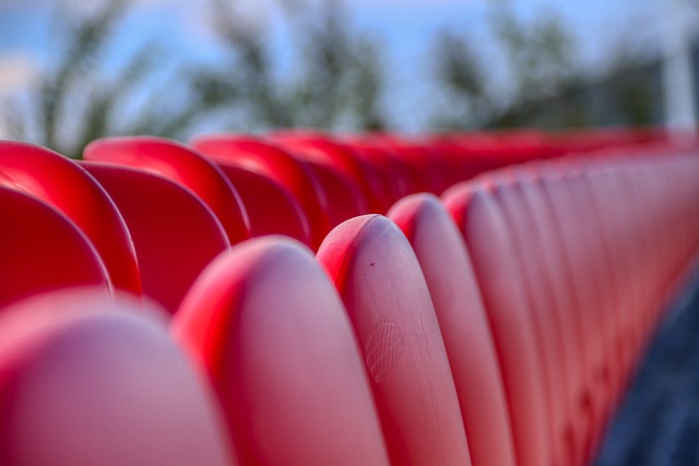 不仅仅是看 不仅仅是看